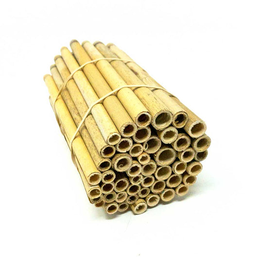 Natural spring reeds for mason bees, 8mm diameter, from CrownBees, shown in a close-up image for use in bee nesting boxes.