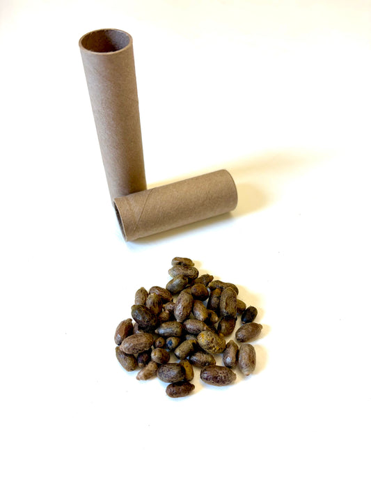 CrownBees Mason Bee cocoons, OBA certified, in a box ready for planting, ideal for supporting pollination and bee conservation.