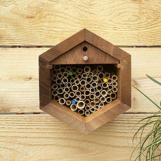 Small hex-shaped Cabana Bee House by CrownBees, with natural wood finish and multiple nesting compartments for solitary bees.