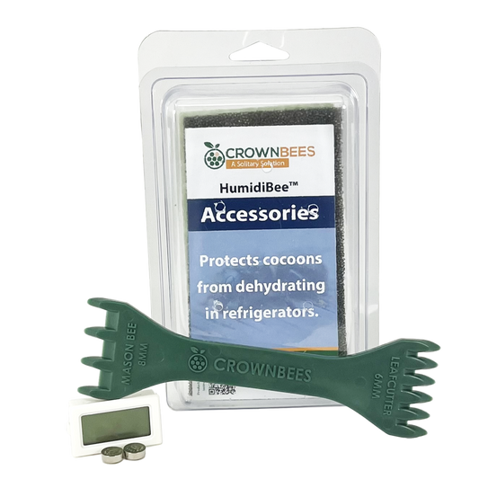 Cocoon Harvest Set - Blessings Grow Meadows