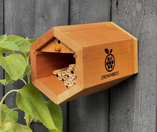 CrownBees Cabana Bee House and Complete Kit with Bee Certificate, featuring wooden bee habitat and accessories for Mason bees.