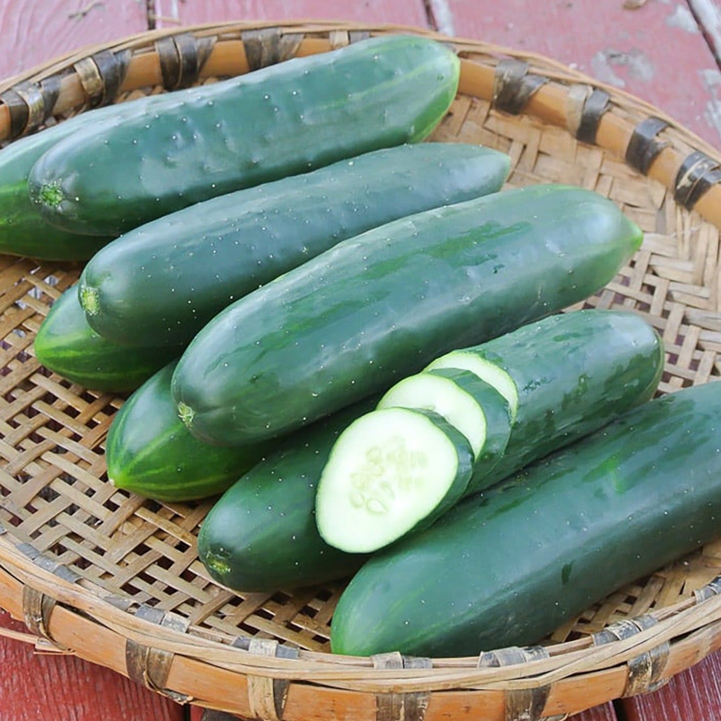 Poinsett 76 Cucumber - Blessings Grow Meadows