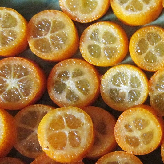 Meiwa Kumquat