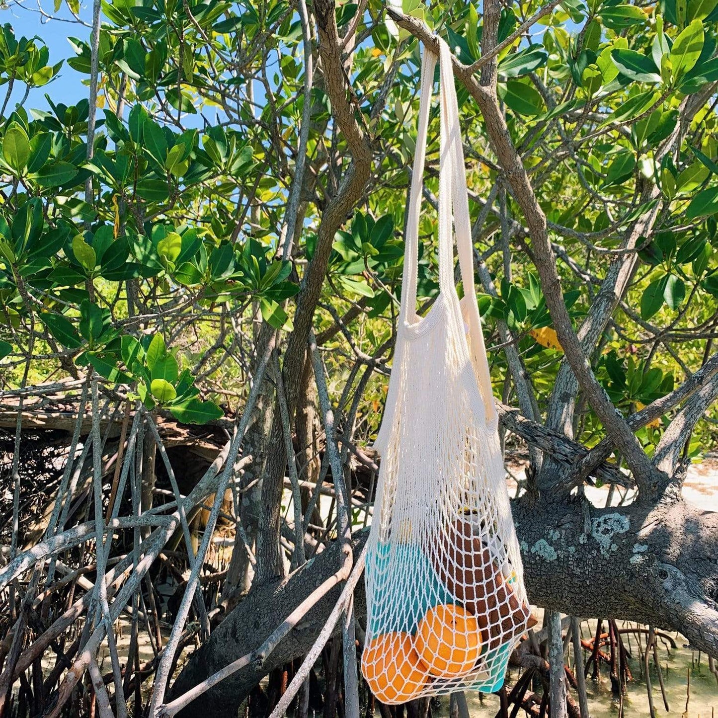 A ZeroWasteStore.com Organic Cotton String Bag - Zero Waste Mesh Bag, Plastic Free Market Tote, holds oranges and a bottle while hanging from a leafy tree branch in sunlight.