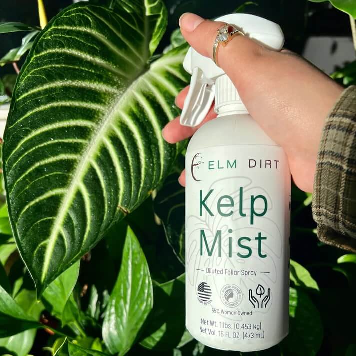 Elm Dirt Kelp Mist 16 oz spray bottle, featuring natural kelp extract for plant hydration and nourishment in a clear container