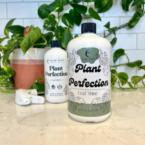 Elm Dirt Plant Perfection 16 oz. plant care product bottle with label, designed to promote healthy indoor and outdoor plants.