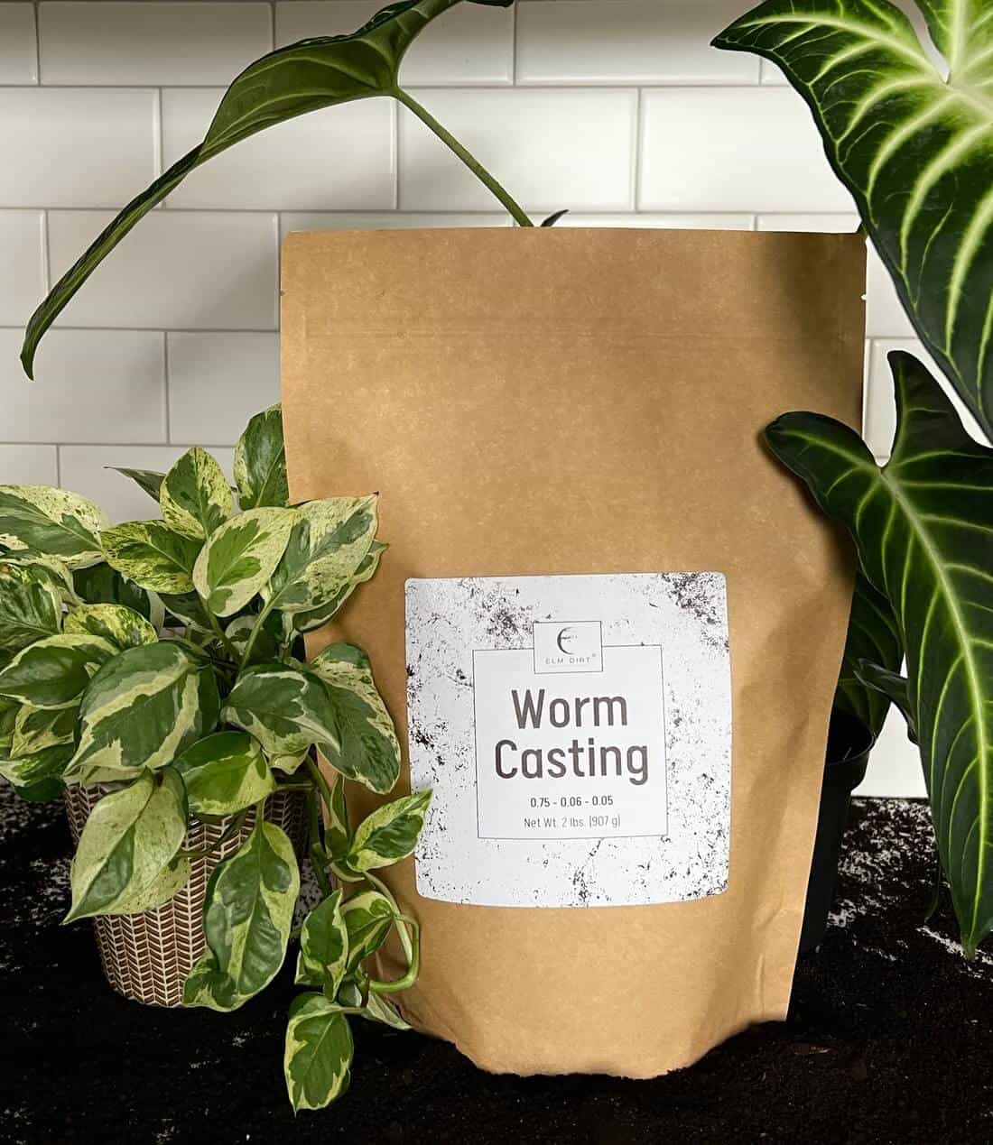 Two pounds of Elm Dirt worm castings, rich organic fertilizer with dark, nutrient-rich soil visible in the image.