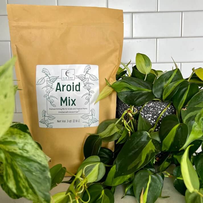 Three-quart bag of Elm Dirt Aroid Mix, rich soil blend for aroids and houseplants, with visible organic matter and textured soil.