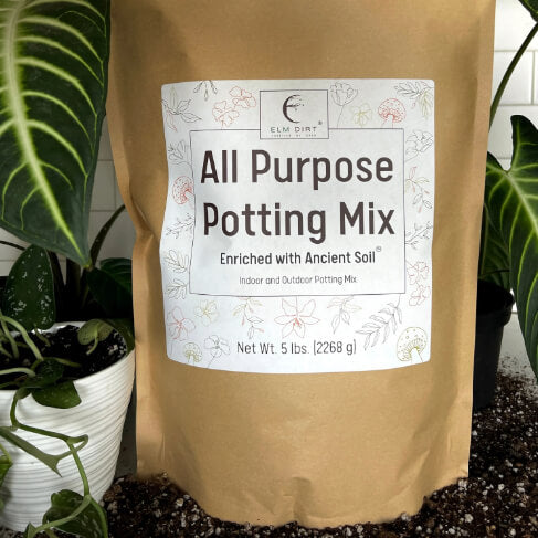 Elm Dirt All-Purpose Soil Mix in 5 lbs, showing a bag of versatile garden soil for planting and gardening projects.