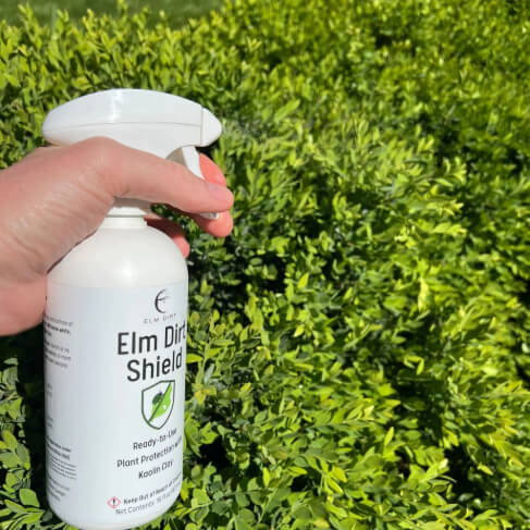 Elm Dirt's Shield all-natural pesticide spray bottle with label and spray nozzle, designed for organic pest control.