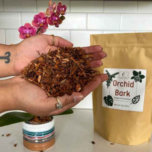 Elm Dirt Orchid Bark, natural decorative orchid potting bark for healthy plant growth, shown in a close-up image.