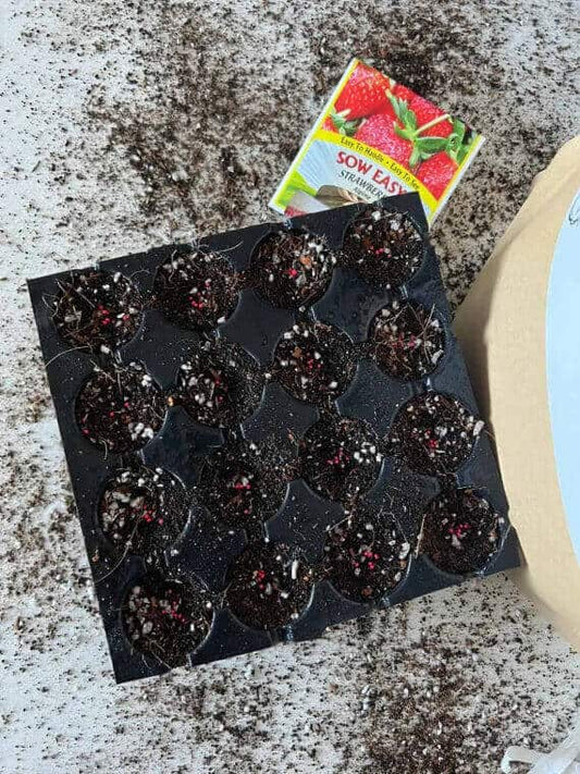 Bag of Elm Dirt Seedling Mix with healthy soil and organic nutrients, ideal for nurturing young plants and seedlings.