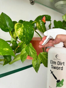 Elm Dirt Sword Pest Spot Treatment bottle showing the product label and applicator tip for targeted pest control.