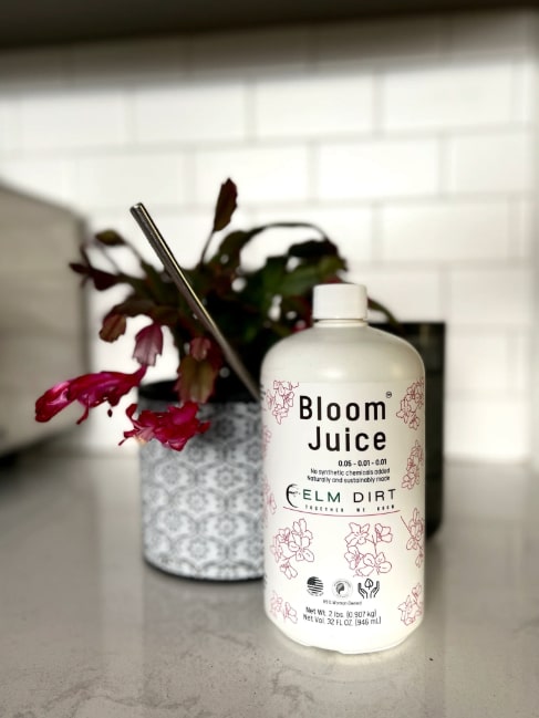 A bottle of Elm Dirts Bloom Juice - Our Award-Winning Formula for Spectacular Flowers sits on a kitchen counter beside a potted plant with pink flowers and a metal straw, set against a white tiled backsplash.