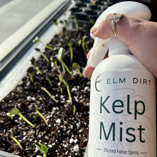 Elm Dirt Kelp Mist fertilizer in a 16 oz bottle, featuring a natural kelp-based liquid fertilizer for plant growth and health