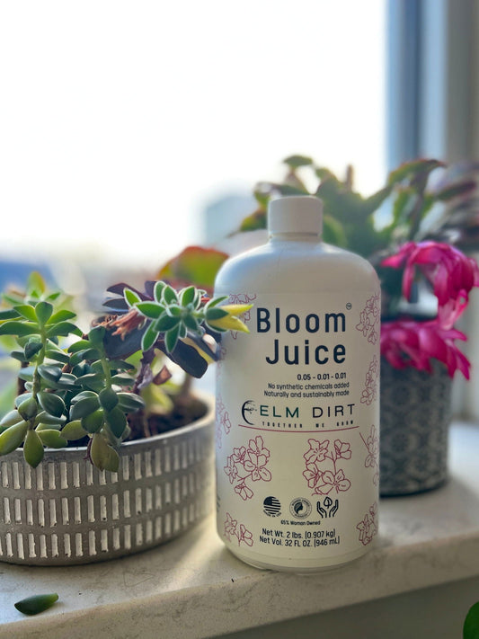 Elm Dirt Bloom Power Bundle fertilizer, organic plant fertilizer with nutrient-rich formula for healthy blooms and vigorous growth.