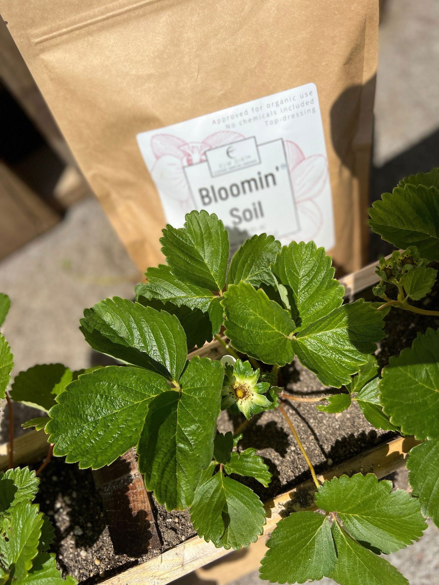 Elm Dirt Bloom Power Bundle fertilizer package showing rich, organic fertilizer for healthy plant growth and vibrant blooms.