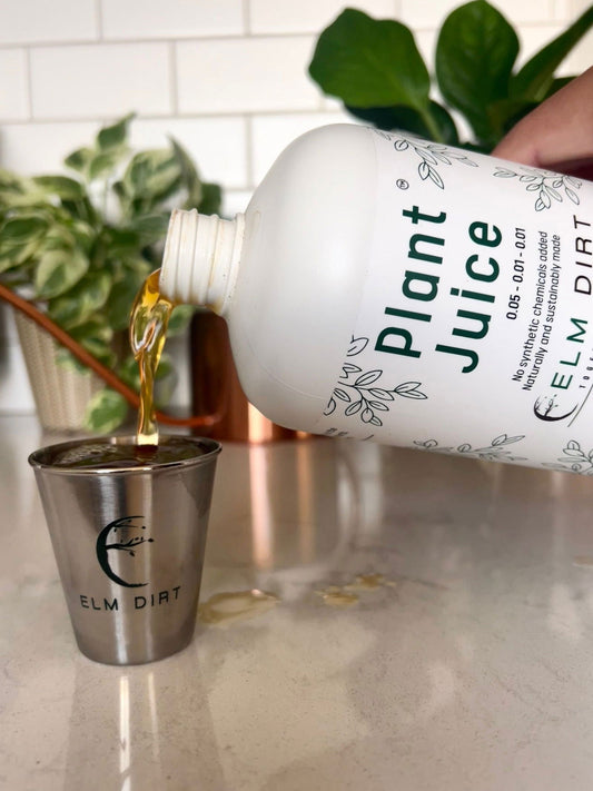 A hand pours liquid nutrients from a Plant Care Kit by Elm Dirt bottle into a metal measuring cup, with green plants and a copper watering can in the background. Ideal for any plant enthusiast.