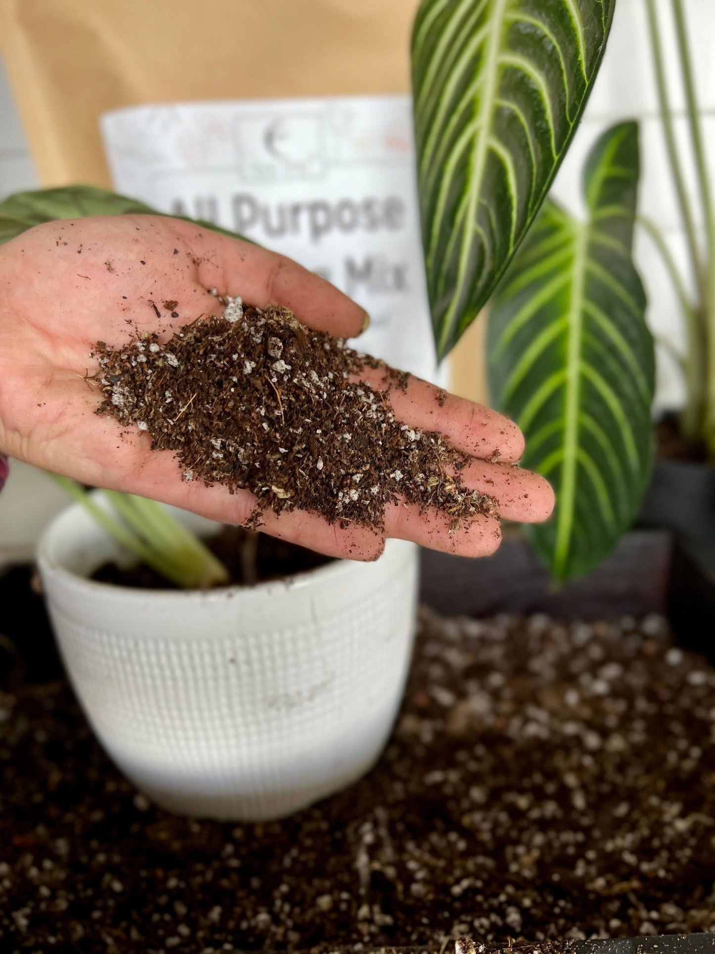 Gardeners Gift by Elm Dirt featuring gardening tools and supplies in a rustic gift set, perfect for plant enthusiasts.