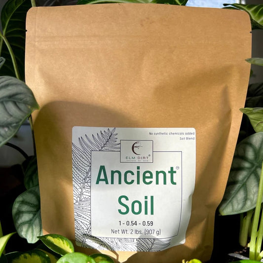 Elm Dirt Ancient Soil organic living soil for thriving plants, shown in a 2-lb bag, rich and nutrient-dense for healthy plant growth.