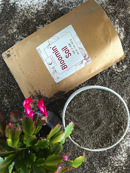 Bag of Bloomin' Soil by Elm Dirt, 2 lbs, showing the soil's rich, dark texture in a clear bag.