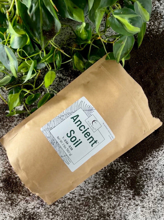 Two pounds of Elm Dirt Ancient Soil vegetable seeds, featuring packets with colorful branding and seed illustrations.
