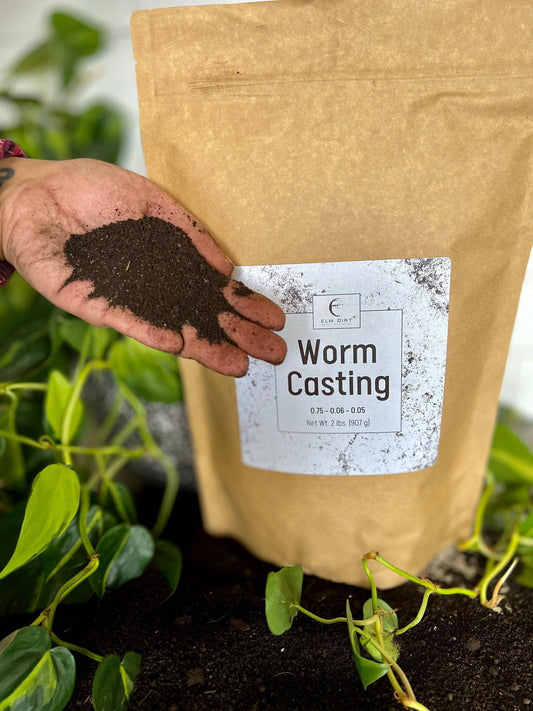 Two pounds of Elm Dirt worm castings, rich organic fertilizer with dark, crumbly soil visible in a clear container.