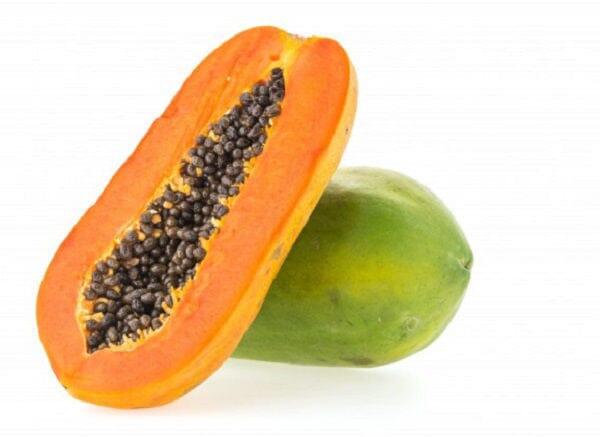 Everglades Farm Broadleaf Dwarf Papaya plant, 12-18 inch tropical tree with lush, vibrant foliage in a 1-gallon container.