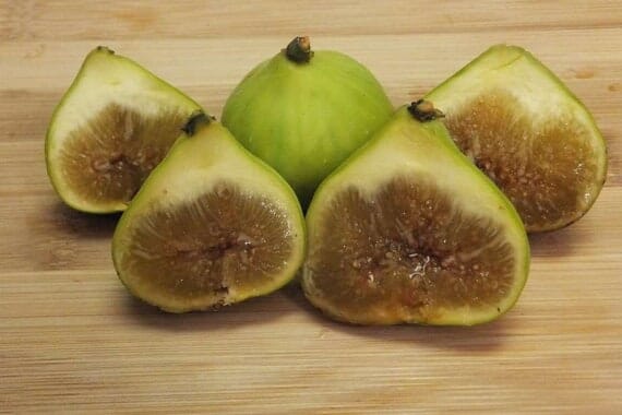 Everglades Farm LSU Gold Fig Tree with golden fruits, 12-18 inch Ficus carica 'LSU Gold' for garden cultivation