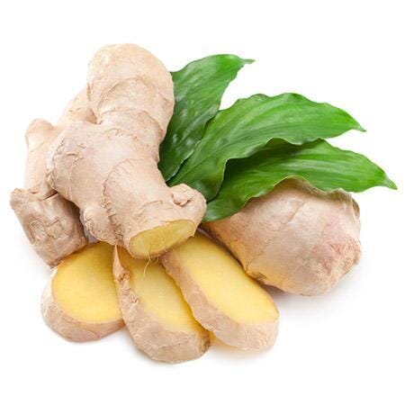 Everglades Farm 12-inch, 1-gallon ginger plant with lush green leaves, ready for planting or decorative display.
