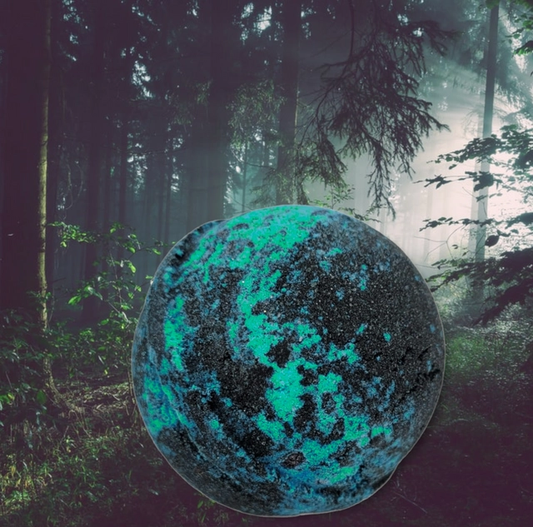 Evolve Botanica seasonal bath bomb with scents of hemlock and fern, showcasing a colorful, round bath bomb with botanical accents.