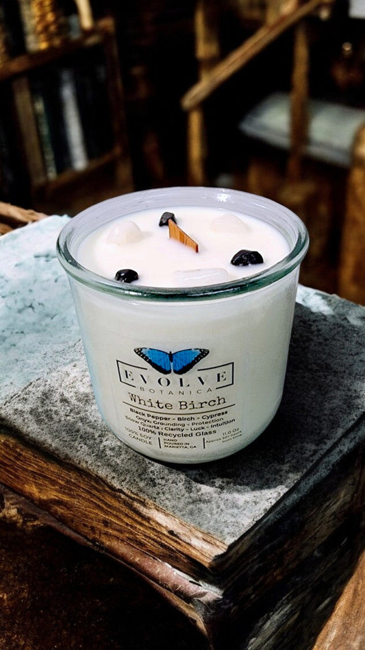 White Birch soy candle by Evolve Botanica with wood wick, snow quartz, and onyx gemstones, in a sleek jar.