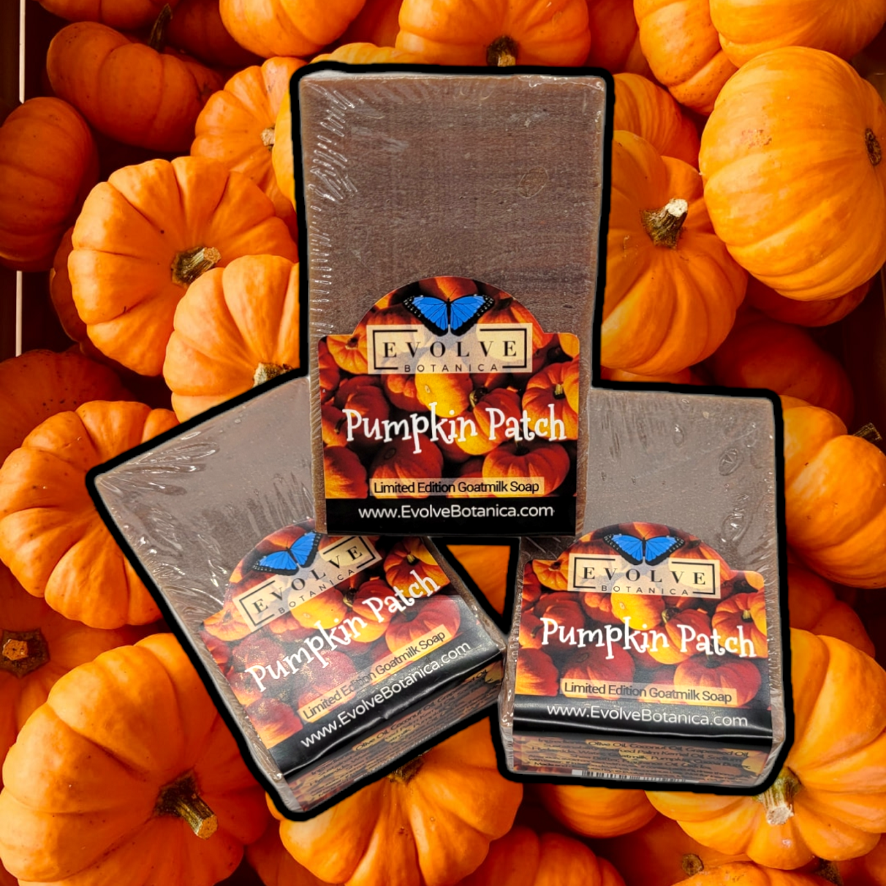 Evolve Botanica Pumpkin Patch seasonal soap bar with pumpkin and autumn-inspired design, natural skincare product.