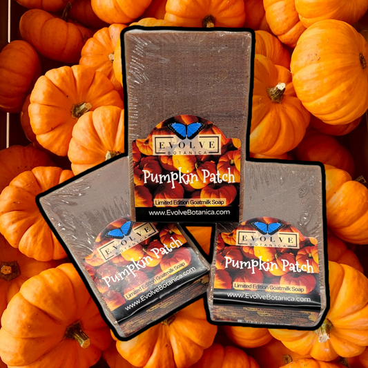 Evolve Botanica Pumpkin Patch seasonal soap bar with pumpkin and autumn-inspired design, natural skincare product.