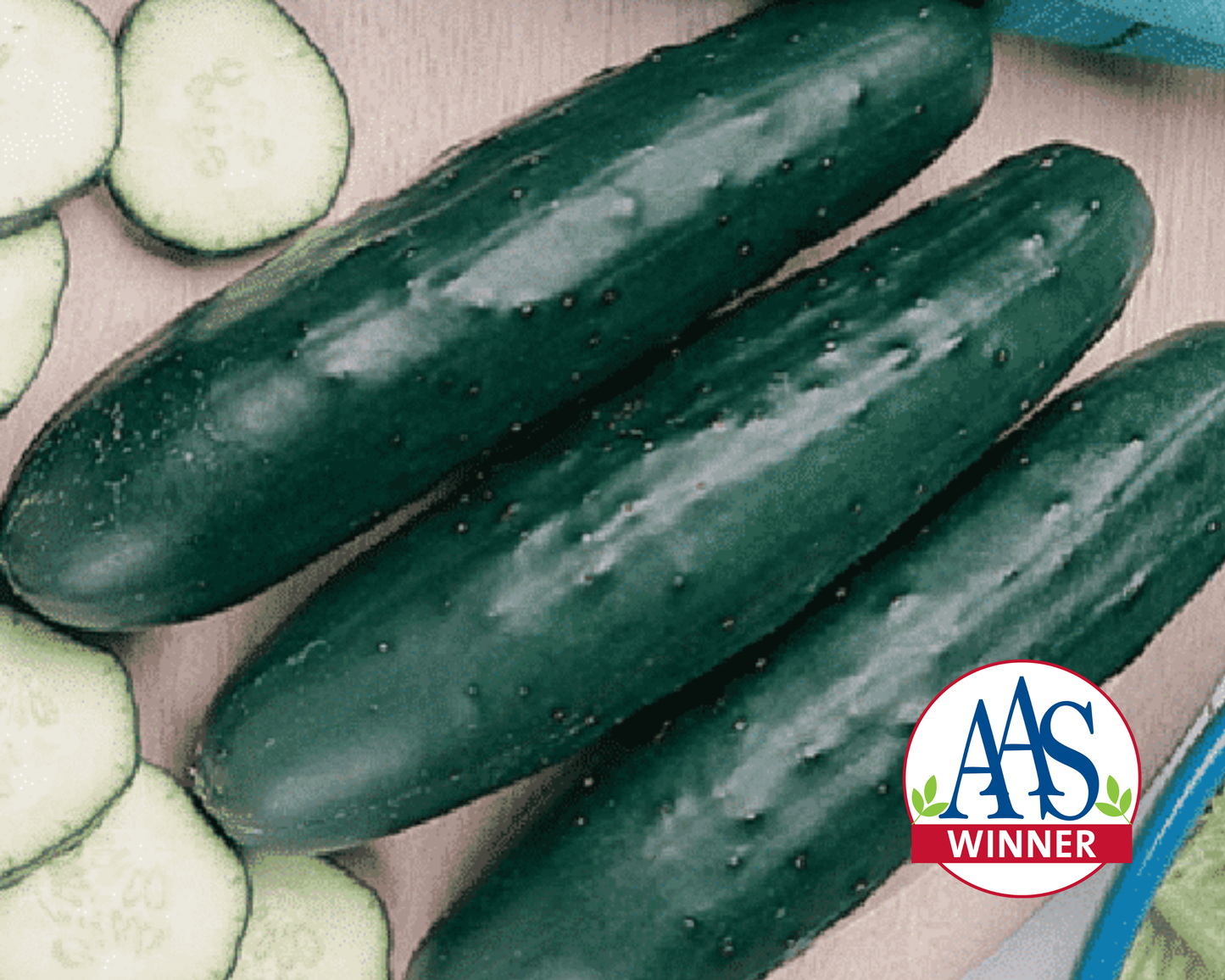 Fanfare Hybrid Cucumber Seeds - Blessings Grow Meadows