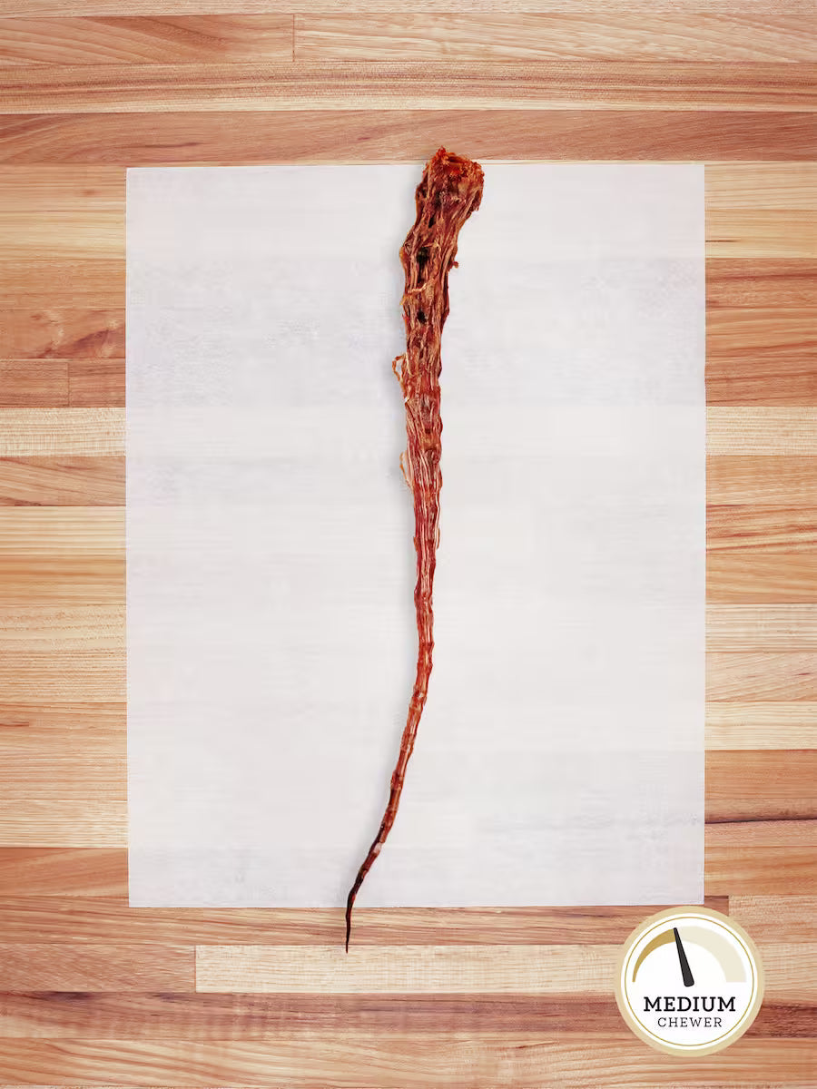 Farm Hounds beef tail chew for dogs, showing a natural beef tail chews product on a plain background.