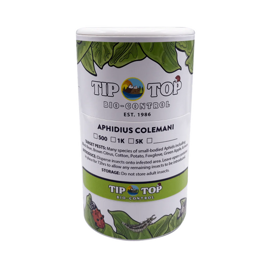 Aphidius colemani - Blessings Grow Meadows -