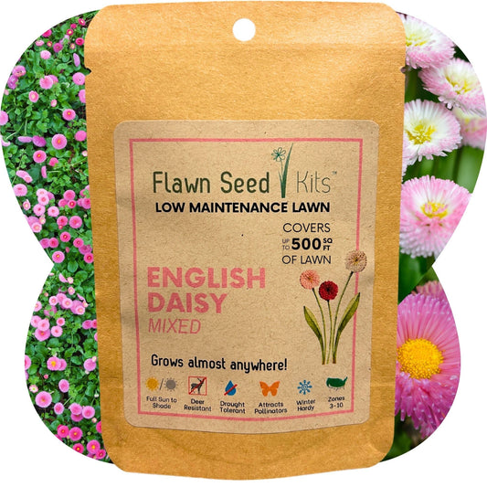 English Daisy mixed seed pouch from Flawn Seed Kits, showing seed tape for planting in a garden or flower bed.