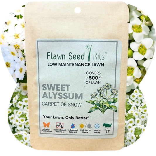 Sweet Alyssum Carpet of Snow seeds from Flawn Seed Kits, seed pouch for planting fragrant, white ground cover in gardens.