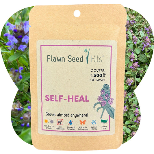Self-Heal seed pouch from Flawn Seed Kits, 25 oz of seeds in a seed tape for planting and garden growth.