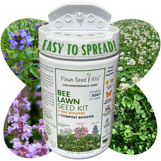 Flawn Seed Kits Bee Lawn Seed Kit with easy spread shaker, 250 sq ft seed tape for eco-friendly lawn planting.