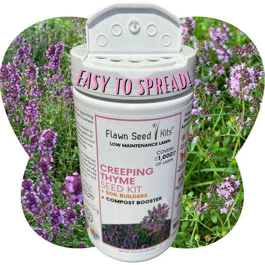 Creeping Thyme Easy Spread Shaker seeds in a Flawn Seed Kits seed tape for ground cover and aromatic landscaping.