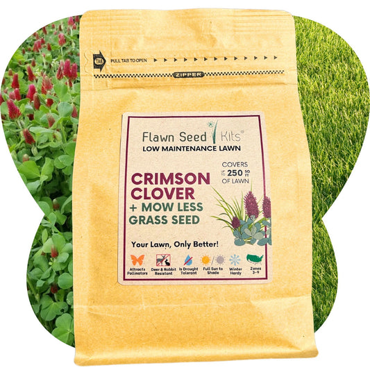 Crimson Clover and Mow Less Grass Seed in Flawn Seed Kits seed tape for 250 sq ft, showing seed tape with crimson clover seeds.