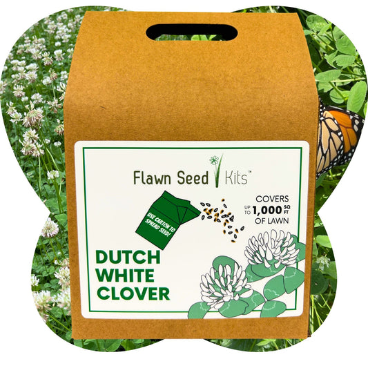 Dutch White Clover Eco-Friendly Seeding Kit - Blessings Grow Meadows