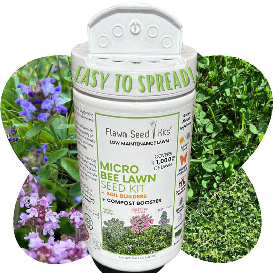 Micro Clover Bee Lawn Seed Mixture from Flawn Seed Kits, easy-to-spread seed tape for creating a bee-friendly lawn.