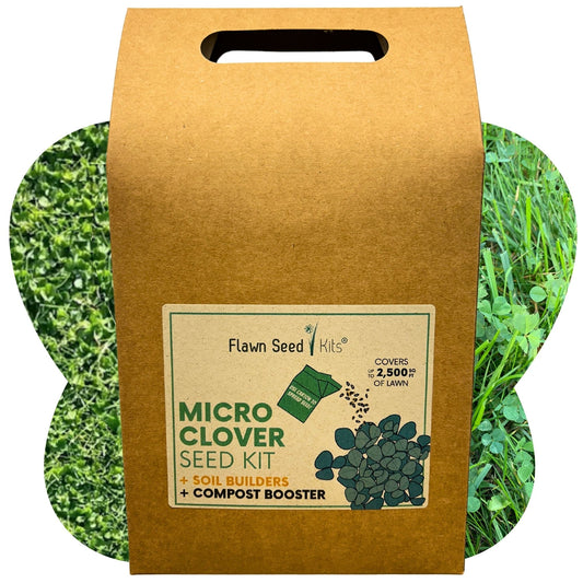 Micro Clover Seed Eco-Spread Carton - Blessings Grow Meadows
