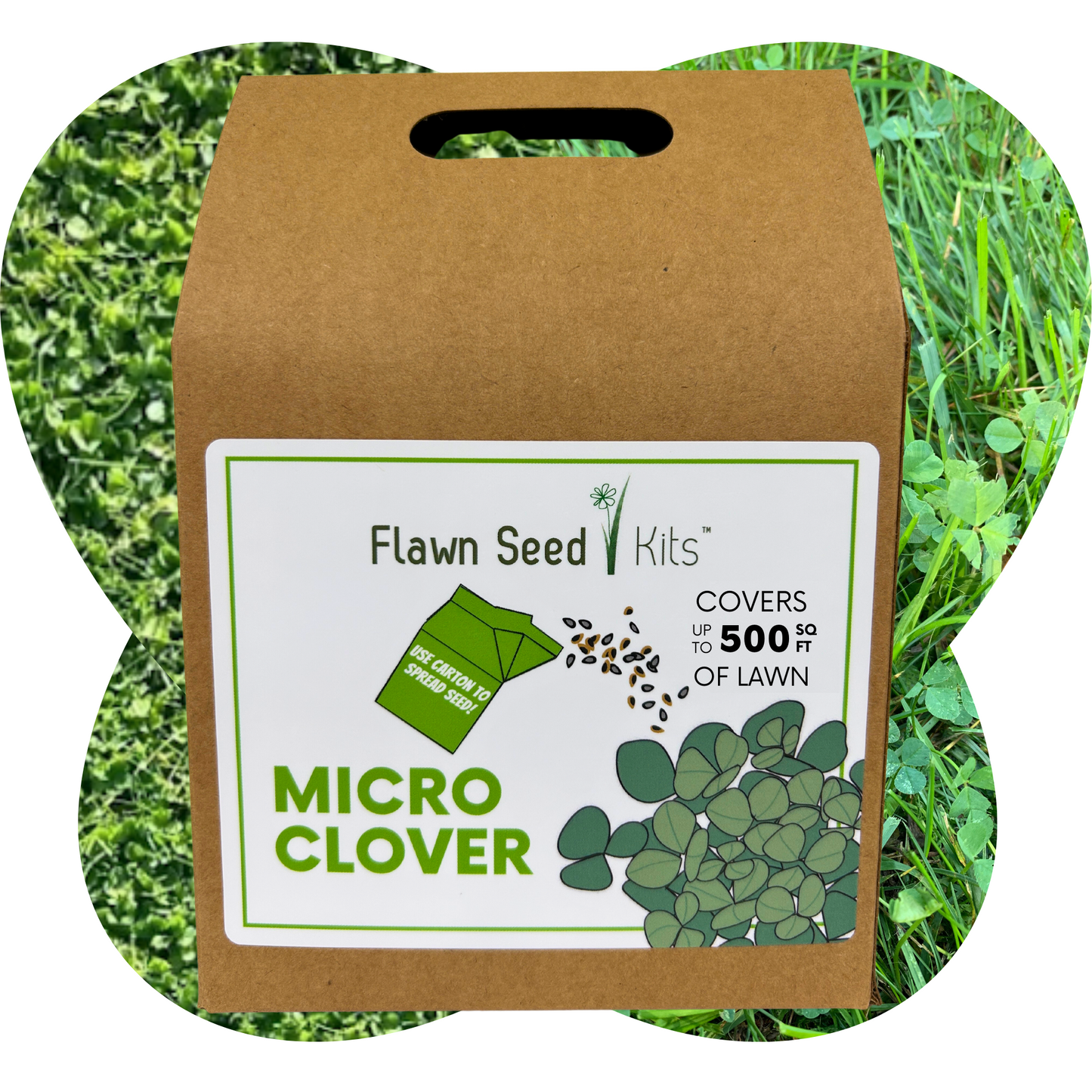 Micro Clover Seed Eco-Spread Carton - Blessings Grow Meadows