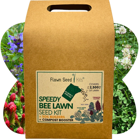 Speedy Bee Lawn Eco-Spread Carton - Blessings Grow Meadows