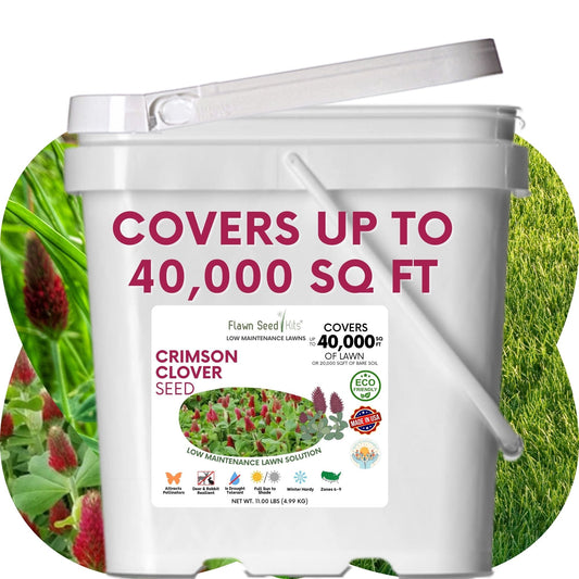 Crimson Clover Seed in seed tape by Flawn Seed Kits, ideal for planting in gardens and lawns, 1 oz for 250 sqft coverage.