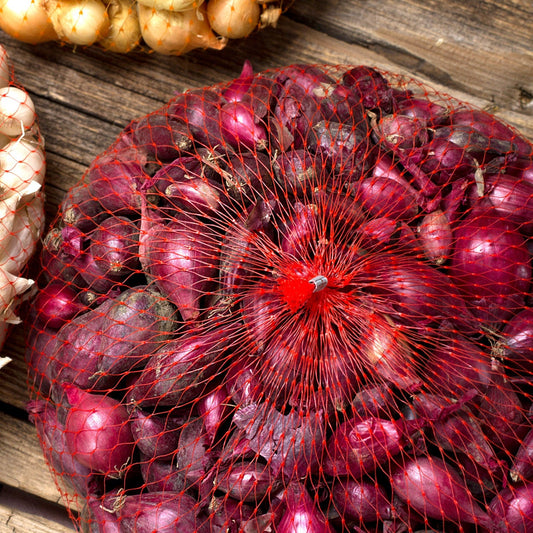 Mixed white and red onion sets from Fresh Garden Living, 8 oz bulbs, non-GMO onion set for planting or cooking.